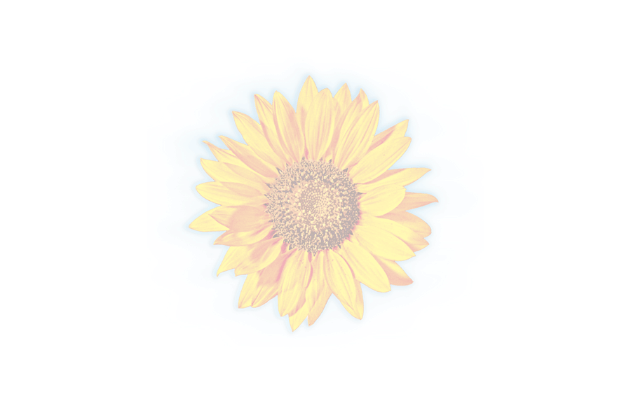 Bioblumen